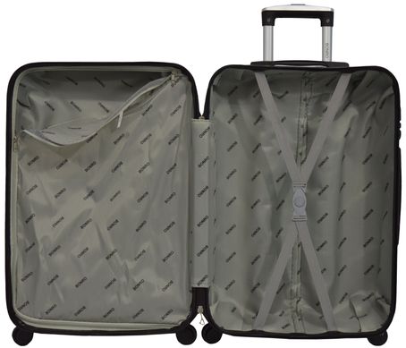 Комплект чемодан и кейс Bonro 2019 маленький серебряный (10501002)